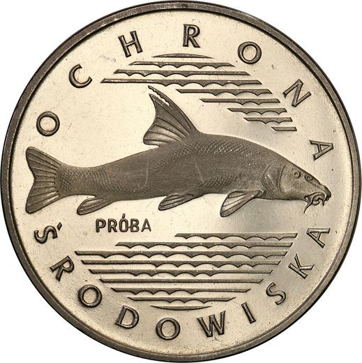 Rewers monety - PRÓBA 100 złotych 1977 MW "Ryba Brzana" Nikiel - cena  monety - Polska, PRL