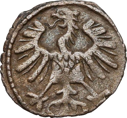 Awers monety - Denar 1555 "Litwa" - cena srebrnej monety - Polska, Zygmunt II August