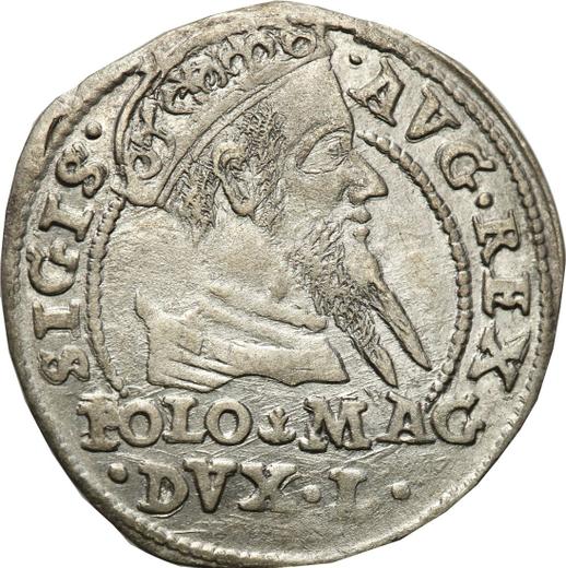 Аверс монеты - 1 грош 1567 года "Литва" - цена серебряной монеты - Польша, Сигизмунд II Август