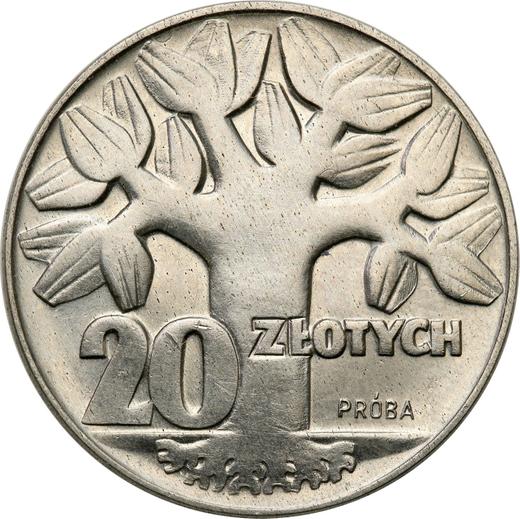 Реверс монеты - Пробные 20 злотых 1964 года MW "Дерево" Никель - цена  монеты - Польша, Народная Республика