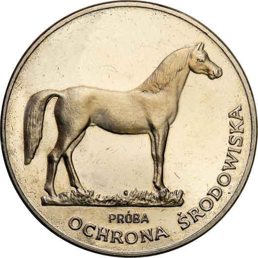 Реверс монеты - Пробные 100 злотых 1981 года MW "Конь" Никель - цена  монеты - Польша, Народная Республика