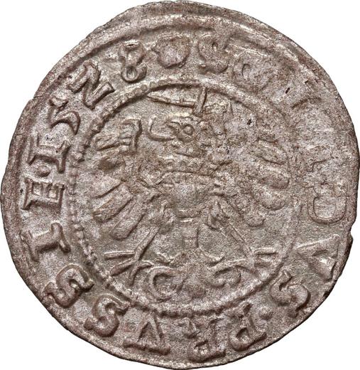 Реверс монеты - Шеляг 1528 года "Торунь" - цена серебряной монеты - Польша, Сигизмунд I Старый