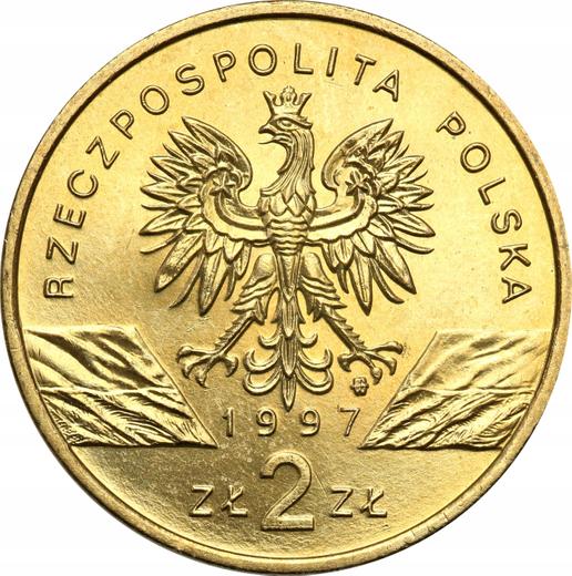 Anverso 2 eslotis 1997 MW "Lucano ciervo" - valor de la moneda  - Polonia, República moderna