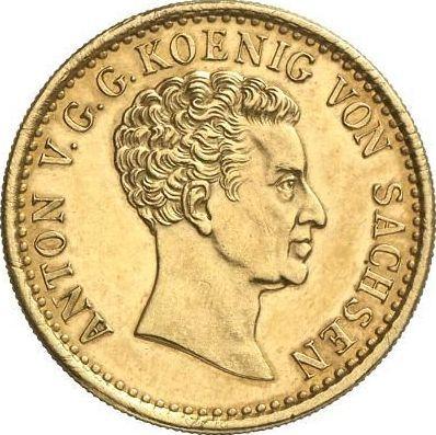 Аверс монеты - 5 талеров 1828 года S - цена золотой монеты - Саксония-Альбертина, Антон
