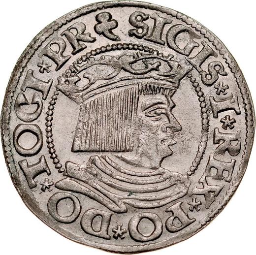 Аверс монеты - 1 грош 1535 года "Гданьск" - цена серебряной монеты - Польша, Сигизмунд I Старый
