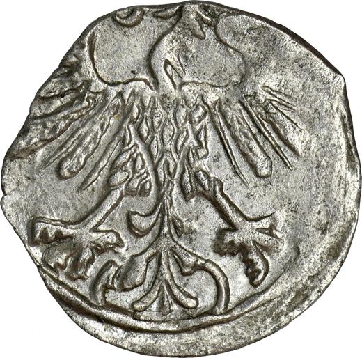 Аверс монеты - Денарий 1550 года "Литва" - цена серебряной монеты - Польша, Сигизмунд II Август