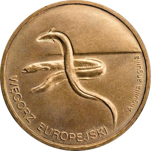 Реверс монеты - 2 злотых 2003 года MW ET "Европейский угорь" - цена  монеты - Польша, III Республика после деноминации