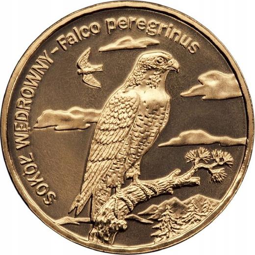 Reverso 2 eslotis 2008 MW NR "Halcón peregrino" - valor de la moneda  - Polonia, República moderna