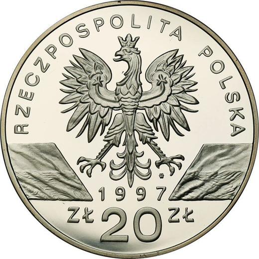 Аверс монеты - 20 злотых 1997 года MW "Жук-олень" - цена серебряной монеты - Польша, III Республика после деноминации