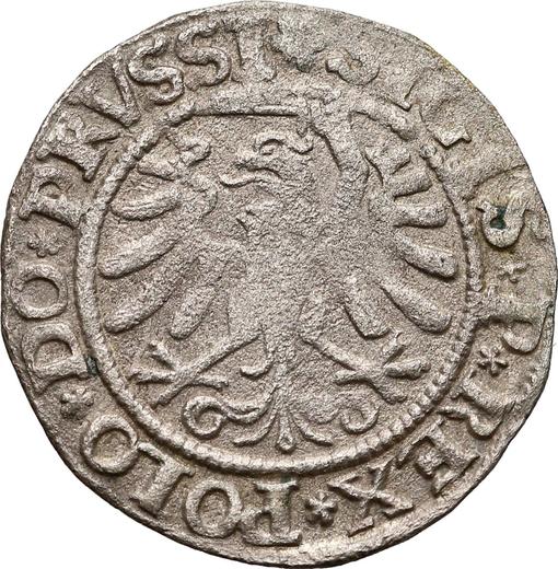 Реверс монеты - Шеляг 1533 года "Эльблонг" - цена серебряной монеты - Польша, Сигизмунд I Старый