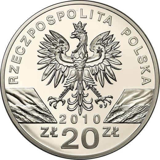Anverso 20 eslotis 2010 MW "Rhinolophus hipposideros" - valor de la moneda de plata - Polonia, República moderna