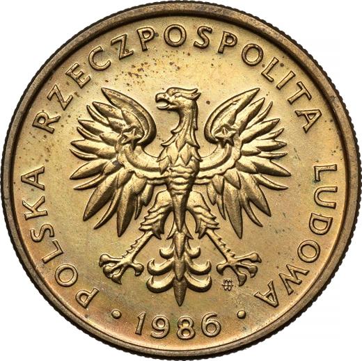 Аверс монеты - Пробные 5 злотых 1986 года MW Латунь - цена  монеты - Польша, Народная Республика