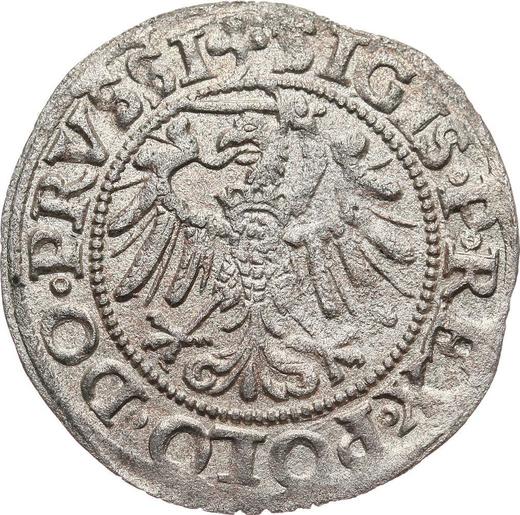 Реверс монеты - Шеляг 1538 года "Эльблонг" - цена серебряной монеты - Польша, Сигизмунд I Старый
