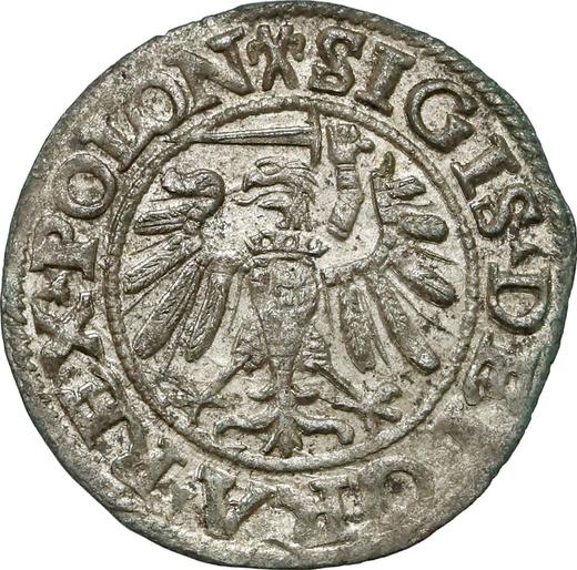 Реверс монеты - Шеляг 1538 года "Гданьск" - цена серебряной монеты - Польша, Сигизмунд I Старый