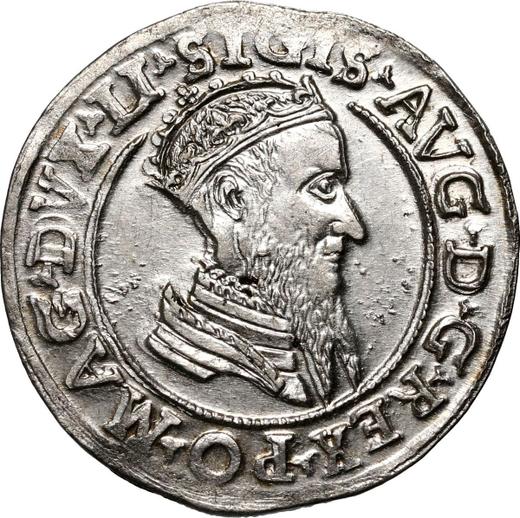 Аверс монеты - Чворак (4 гроша) 1569 года "Литва" - цена серебряной монеты - Польша, Сигизмунд II Август