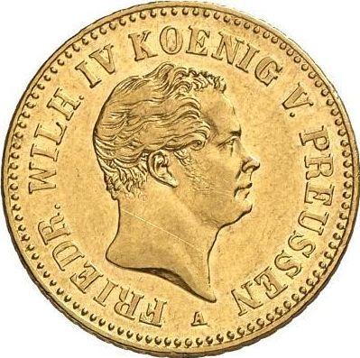 Аверс монеты - Фридрихсдор 1851 года A - цена золотой монеты - Пруссия, Фридрих Вильгельм IV