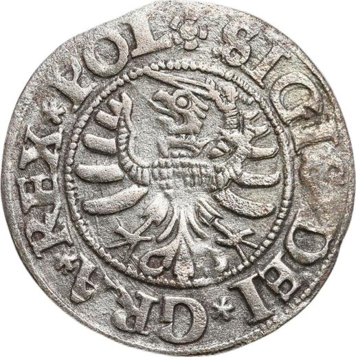 Реверс монеты - Шеляг 1531 года "Гданьск" - цена серебряной монеты - Польша, Сигизмунд I Старый