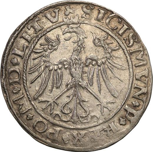 Rewers monety - 1 grosz 1536 "Litwa" - cena srebrnej monety - Polska, Zygmunt I Stary
