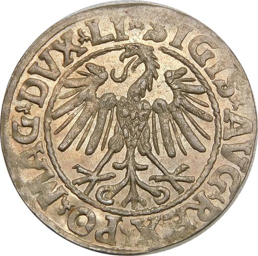Anverso Medio grosz 1546 "Lituania" - valor de la moneda de plata - Polonia, Segismundo II Augusto