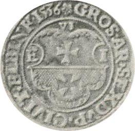 Аверс монеты - Шестак (6 грошей) 1536 года "Эльблонг" - цена серебряной монеты - Польша, Сигизмунд I Старый