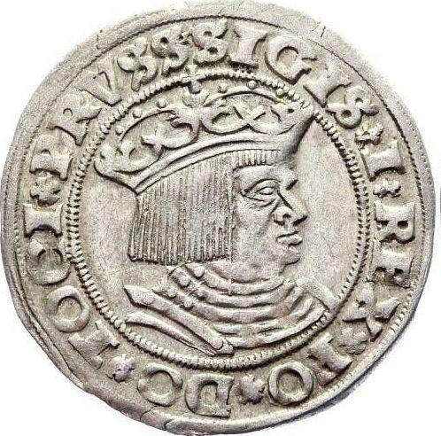 Аверс монеты - 1 грош 1528 года "Торунь" - цена серебряной монеты - Польша, Сигизмунд I Старый