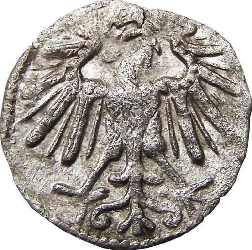 Awers monety - Denar 1548 "Litwa" - cena srebrnej monety - Polska, Zygmunt II August