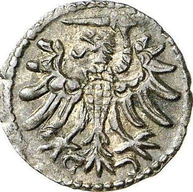 Аверс монеты - Денарий 1554 года "Гданьск" - цена серебряной монеты - Польша, Сигизмунд II Август