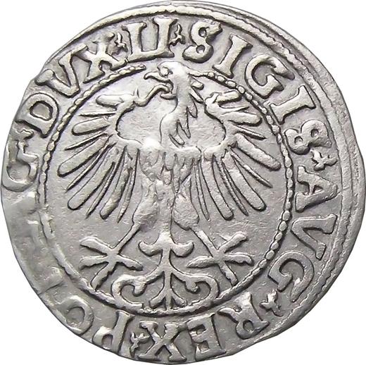 Аверс монеты - Полугрош (1/2 гроша) 1557 года "Литва" - цена серебряной монеты - Польша, Сигизмунд II Август