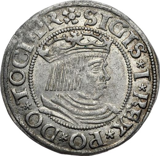 Аверс монеты - 1 грош 1531 года "Гданьск" - цена серебряной монеты - Польша, Сигизмунд I Старый
