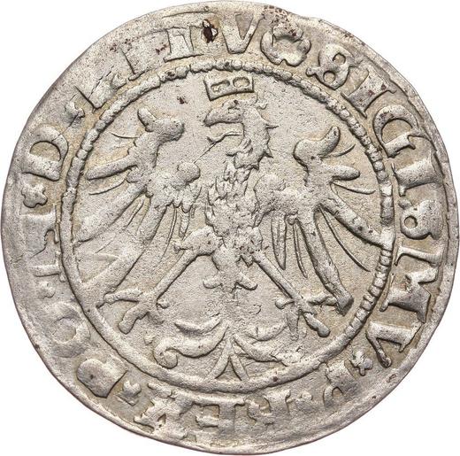Rewers monety - 1 grosz 1536 A "Litwa" - cena srebrnej monety - Polska, Zygmunt I Stary