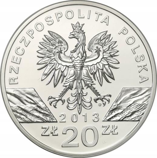 Anverso 20 eslotis 2013 MW "Bisonte europeo" - valor de la moneda de plata - Polonia, República moderna