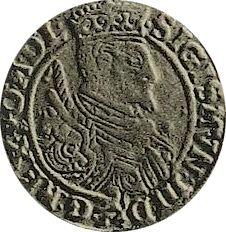 Аверс монеты - 1 грош 1598 года B "Тип 1579-1599" - цена серебряной монеты - Польша, Сигизмунд III Ваза