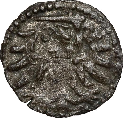 Аверс монеты - Денарий 1554 года "Эльблонг" - цена серебряной монеты - Польша, Сигизмунд II Август