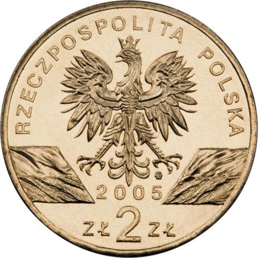 Аверс монеты - 2 злотых 2005 года MW AN "Филин" - цена  монеты - Польша, III Республика после деноминации