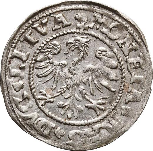 Аверс монеты - Полугрош (1/2 гроша) 1545 года "Литва" - цена серебряной монеты - Польша, Сигизмунд II Август