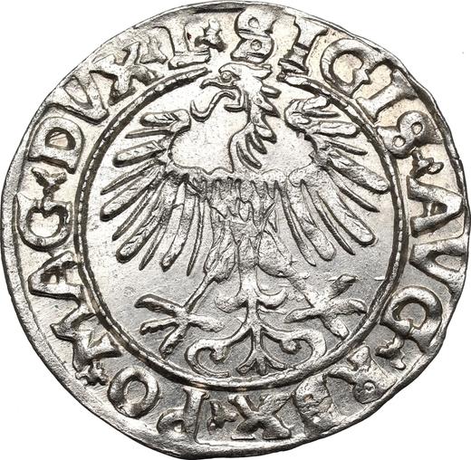 Аверс монеты - Полугрош (1/2 гроша) 1556 года "Литва" - цена серебряной монеты - Польша, Сигизмунд II Август