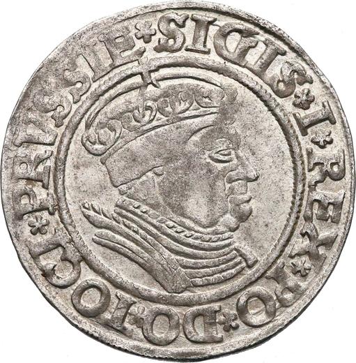 Awers monety - 1 grosz 1534 "Toruń" - cena srebrnej monety - Polska, Zygmunt I Stary