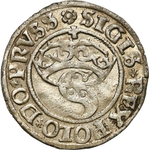 Аверс монеты - Шеляг 1530 года "Торунь" - цена серебряной монеты - Польша, Сигизмунд I Старый