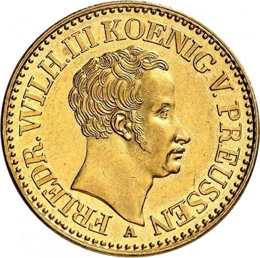 Аверс монеты - 2 фридрихсдора 1831 года A - цена золотой монеты - Пруссия, Фридрих Вильгельм III