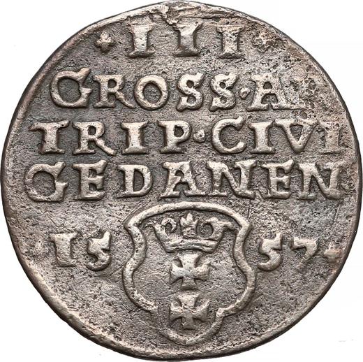 Rewers monety - Trojak 1557 "Gdańsk" - cena srebrnej monety - Polska, Zygmunt II August
