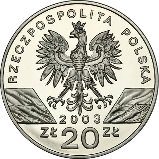 Аверс монеты - 20 злотых 2003 года MW ET "Европейский угорь" - цена серебряной монеты - Польша, III Республика после деноминации