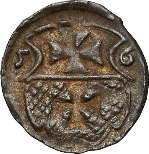 Реверс монеты - Денарий 1556 года "Эльблонг" - цена серебряной монеты - Польша, Сигизмунд II Август