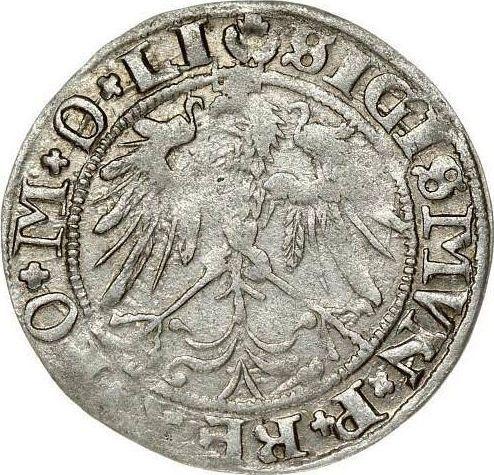 Реверс монеты - 1 грош 1536 года I "Литва" - цена серебряной монеты - Польша, Сигизмунд I Старый