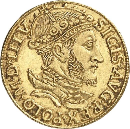 Аверс монеты - Дукат 1549 года "Литва" - цена золотой монеты - Польша, Сигизмунд II Август