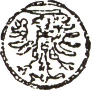 Аверс монеты - Денарий 1552 года "Эльблонг" - цена серебряной монеты - Польша, Сигизмунд II Август