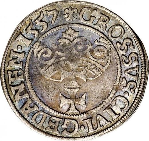 Rewers monety - 1 grosz 1557 "Gdańsk" - cena srebrnej monety - Polska, Zygmunt II August