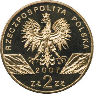 Аверс монеты - 2 злотых 2007 года MW RK "Длинномордый тюлень" - цена  монеты - Польша, III Республика после деноминации