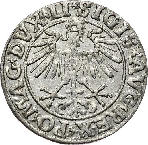 Аверс монеты - Полугрош (1/2 гроша) 1551 года "Литва" - цена серебряной монеты - Польша, Сигизмунд II Август
