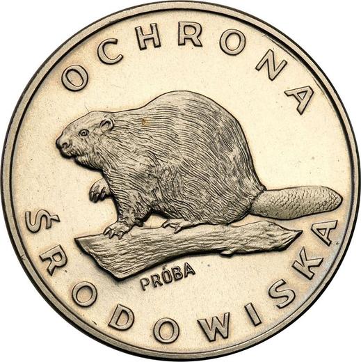 Реверс монеты - Пробные 100 злотых 1978 года MW "Бобр" Никель - цена  монеты - Польша, Народная Республика