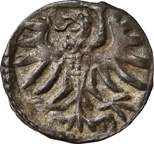 Аверс монеты - Денарий 1556 года "Эльблонг" - цена серебряной монеты - Польша, Сигизмунд II Август